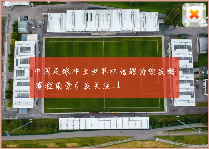 中国足球冲击世界杯话题持续发酵 赛程前景引发关注_1